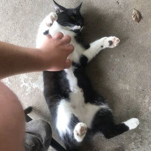 Meet your Posher, Joe